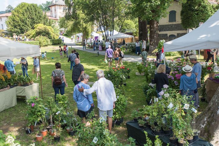 Menta e Rosmarino: a Miasino torna la kermesse tra botanica, arte e design nel weekend