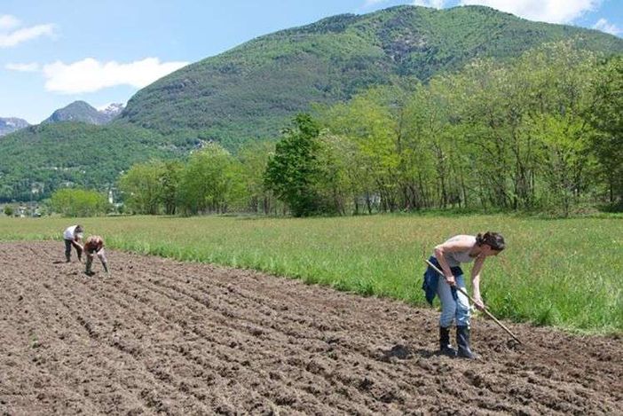 Dalla Regione in arrivo 12,7 milioni di euro per le aziende agricole