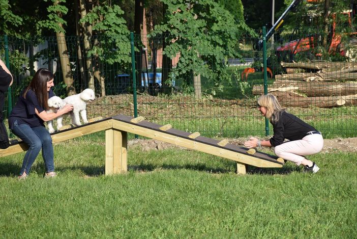 Inaugurata l’area sgambamento di Gozzano Inaugurata l’area sgambamento di Gozzano