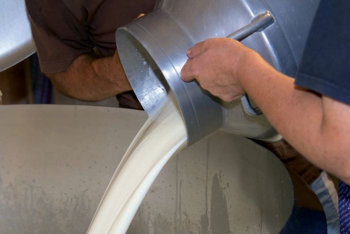 Cia Piemonte denuncia: &quot;Latte più caro della benzina, ma le stalle rischiano la chiusura&quot;