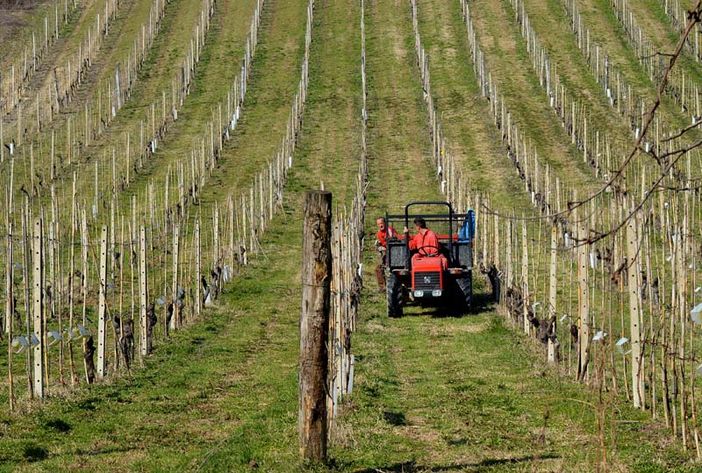 Esonero dell'Irpef, Coldiretti: &quot;Passo importante per le imprese piemontesi&quot;