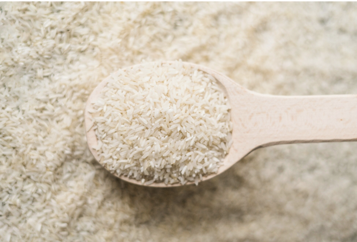 Il riso italiano al centro del dibattito al Teatro Civico di Vercelli