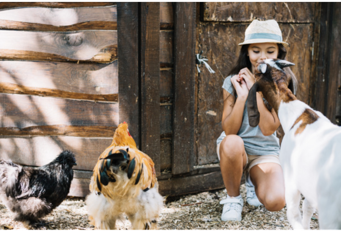 Coldiretti Piemonte: concluso il primo corso di maestro dell’ospitalità contadina Coldiretti Piemonte: concluso il primo corso di maestro dell’ospitalità contadina