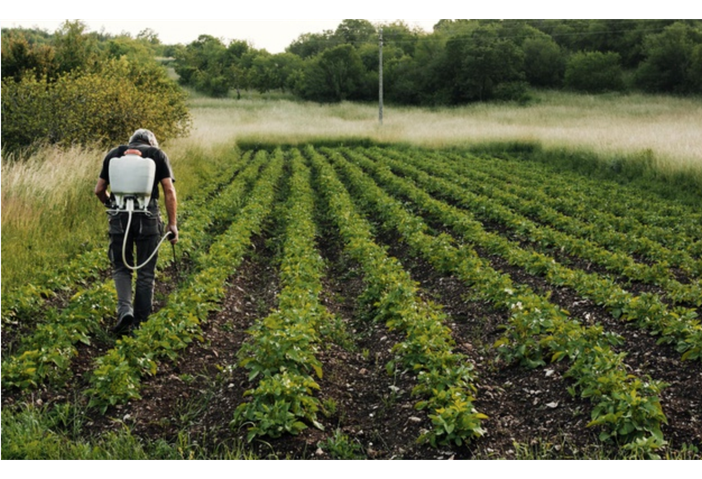 Al via il bando per il servizio civile in agricoltura Al via il bando per il servizio civile in agricoltura