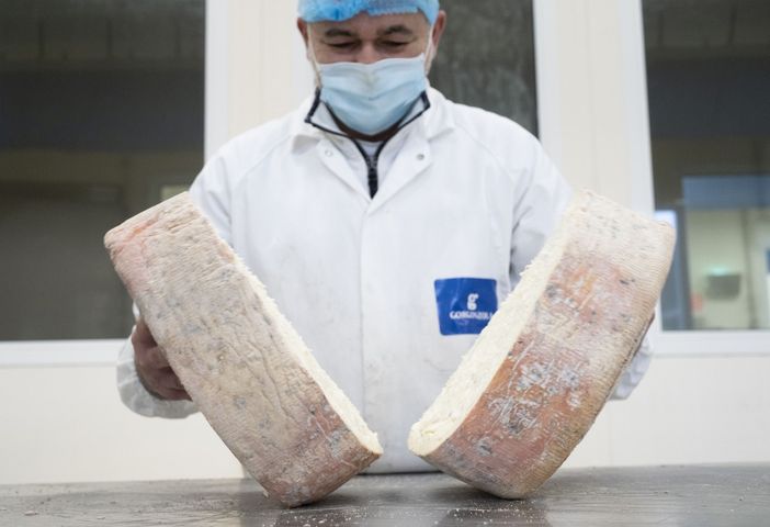 Gorgonzola Dop, nel 2024 record assoluto di produzione Gorgonzola Dop, nel 2024 record assoluto di produzione