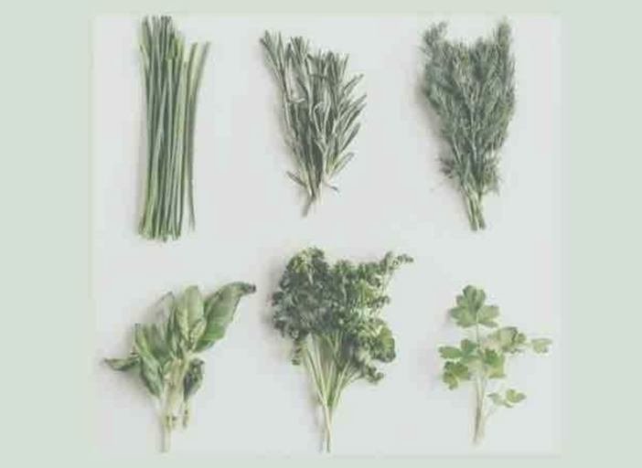 Scuola in erba, il 28 maggio mostra al Museo Storico Etnografico di Romagnano