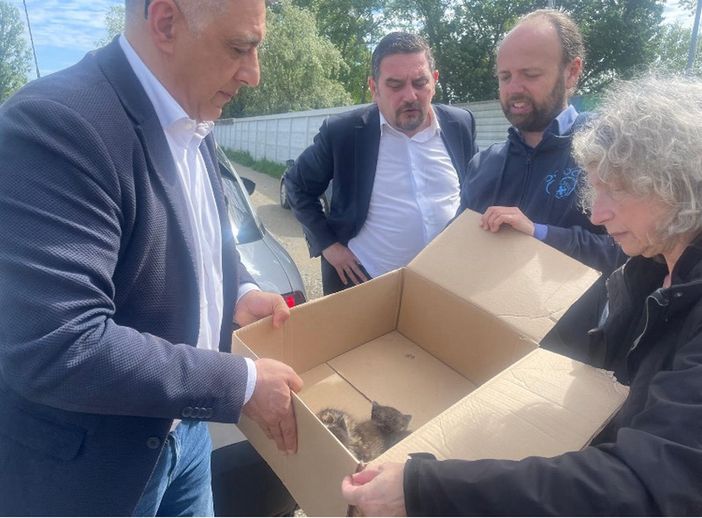 Canelli racconta sui social la vicenda di tre gattini messi in salvo Canelli racconta sui social la vicenda di tre gattini messi in salvo