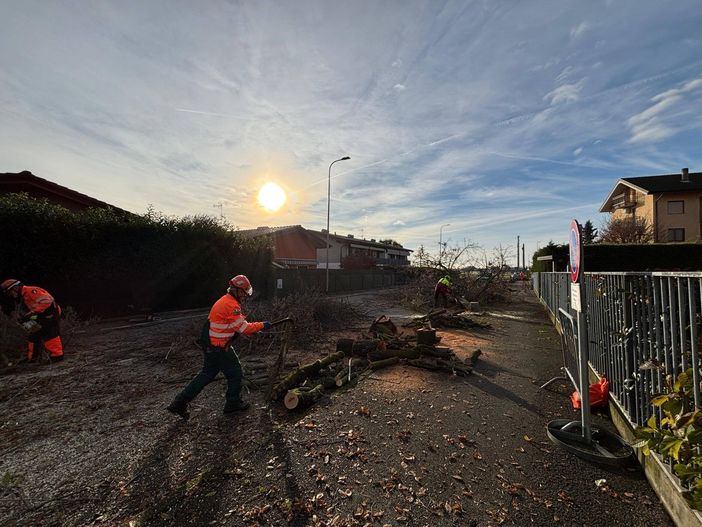 Bellinzago Novarese avvia la riqualificazione di via Volta: primi interventi con il gruppo Aib Bellinzago Novarese avvia la riqualificazione di via Volta: primi interventi con il gruppo Aib