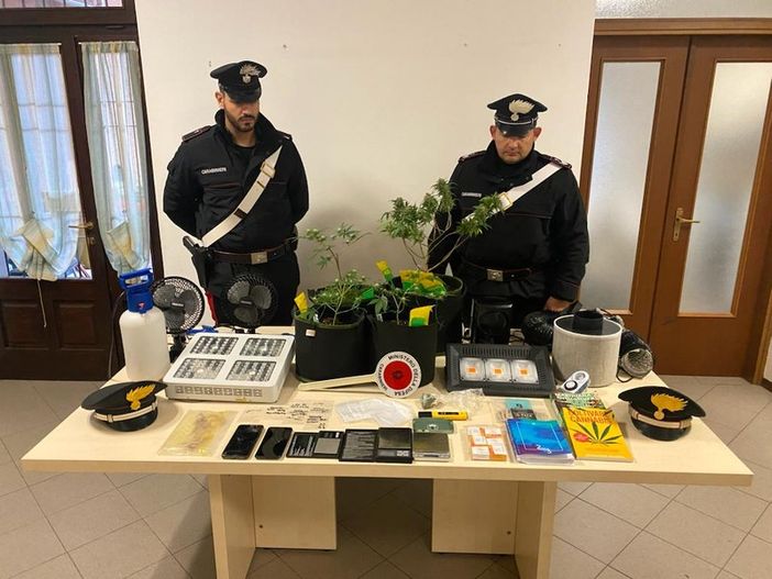 In casa una serra di marijuana: in arresto un 22enne