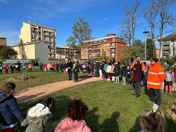 Novara ha celebrato la Festa dell’Albero