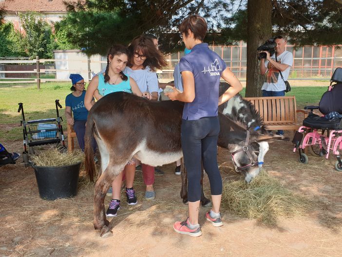 Alla Cà di Asu di Olengo l'innovativo progetto di pet therapy "Gli amici ritrovati... un anno dopo" Alla Cà di Asu di Olengo l'innovativo progetto di pet therapy "Gli amici ritrovati... un anno dopo"