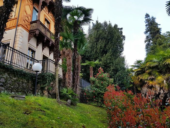 Ultime aperture per il percorso multimediale del Museo Meina “Vox Horti: la natura in 4D” prima del nuovo allestimento Ultime aperture per il percorso multimediale del Museo Meina “Vox Horti: la natura in 4D” prima del nuovo allestimento