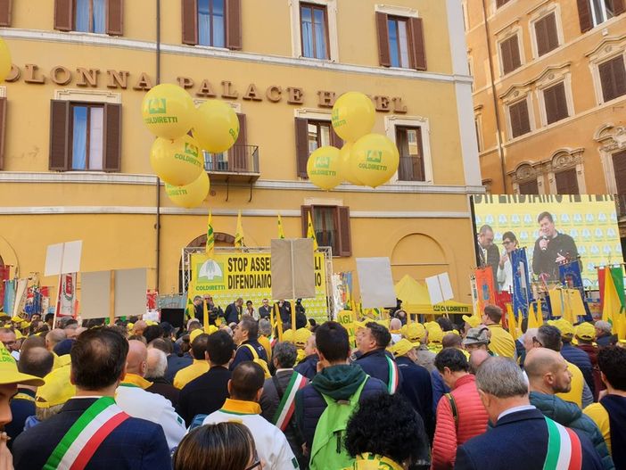 «La capacità della protezione civile piemontese nelle emergenze è riconosciuta da tutti, ma ora dobbiamo puntare all’eccellenza anche nella prevenzione»: l’assessore alla Protezione civile della Regione Piemonte Marco Gabusi ribadisce l’impegno dell’ammini «La capacità della protezione civile piemontese nelle emergenze è riconosciuta da tutti, ma ora dobbiamo puntare all’eccellenza anche nella prevenzione»: l’assessore alla Protezione civile della Regione Piemonte Marco Gabusi ribadisce l’impegno dell’ammini
