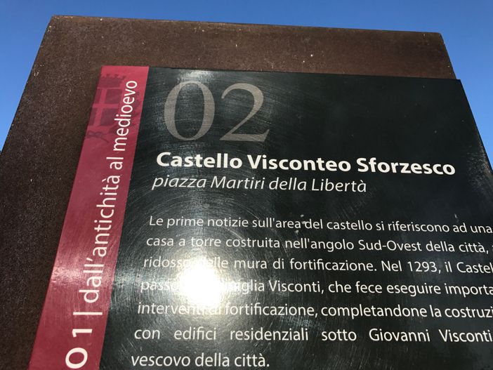 Sabato al Castello di Novara Alessia Gazzola presenterà il suo libro “Costanza e buoni propositi”