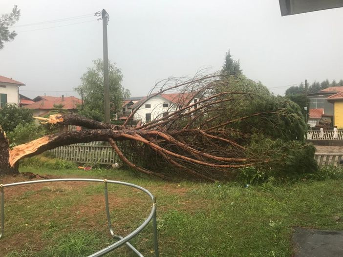 Alluvione di ottobre, stato di emergenza anche per Alessandria e Torino Alluvione di ottobre, stato di emergenza anche per Alessandria e Torino