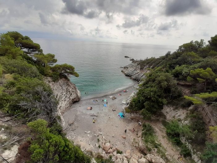 Anche un 17enne novarese coinvolto nel drammatico 'lancio' di un cassonetto a Bergeggi Anche un 17enne novarese coinvolto nel drammatico 'lancio' di un cassonetto a Bergeggi