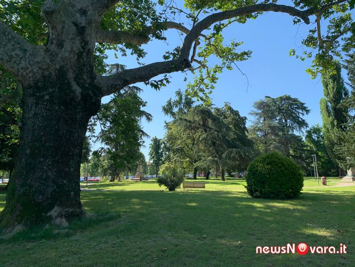 Tutti in bicicletta il 2 giugno per la caccia all'albero Tutti in bicicletta il 2 giugno per la caccia all'albero