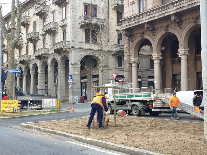 A Novara saranno messi a dimora 420 alberi
