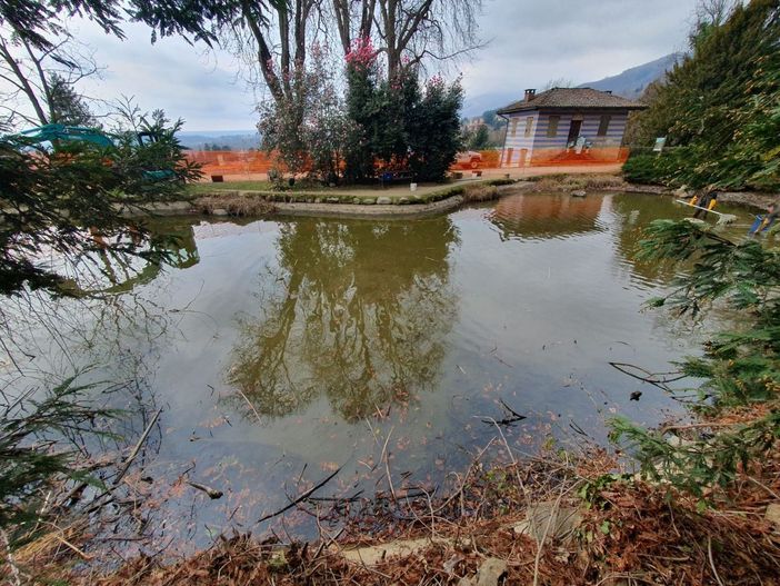 Interventi di riqualificazione per il centro recupero tartarughe invasive Interventi di riqualificazione per il centro recupero tartarughe invasive