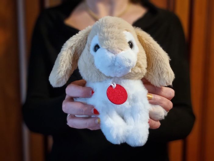 Cirio e Lo Russo, Olimpiadi invernali 2026: "Torino e il Piemonte a disposizione del Paese" Cirio e Lo Russo, Olimpiadi invernali 2026: "Torino e il Piemonte a disposizione del Paese"