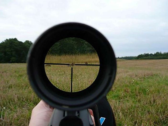 Caccia sospesa solo per moretta, pernice bianca, coturnice e fagiano di monte Caccia sospesa solo per moretta, pernice bianca, coturnice e fagiano di monte