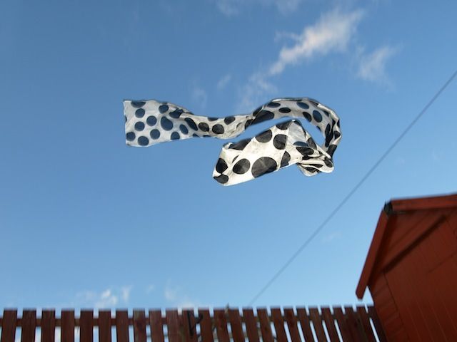 Vento molto forte sul Piemonte con raffiche di 80/100 km/h nelle vallate