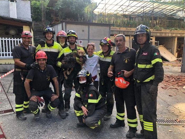 Crollo palazzina, a 30 ore dalla tragedia salvato il cane Ettore Crollo palazzina, a 30 ore dalla tragedia salvato il cane Ettore