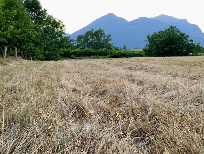 Crisi idrica, dal comparto idroelettrico massima disponibilità alla collaborazione