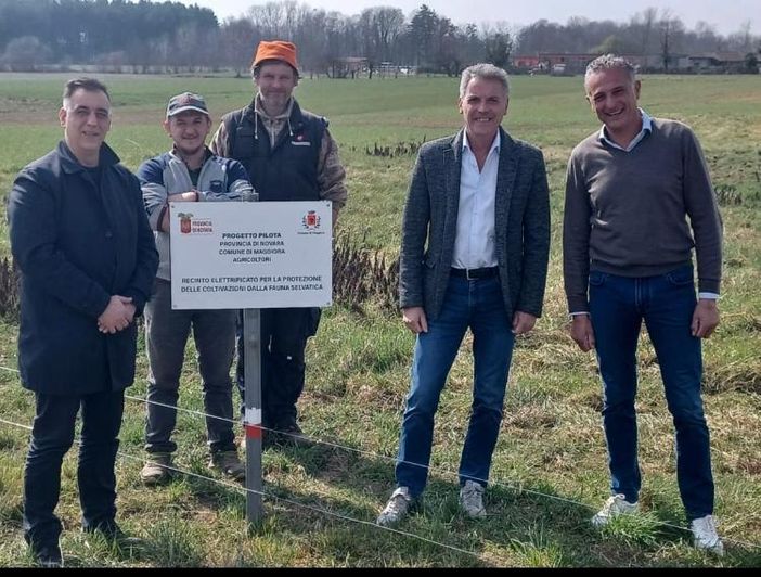Danni provocati dai cinghiali: posati a Maggiora i primi tre chilometri di reti elettrificate fornite dalla provincia Danni provocati dai cinghiali: posati a Maggiora i primi tre chilometri di reti elettrificate fornite dalla provincia