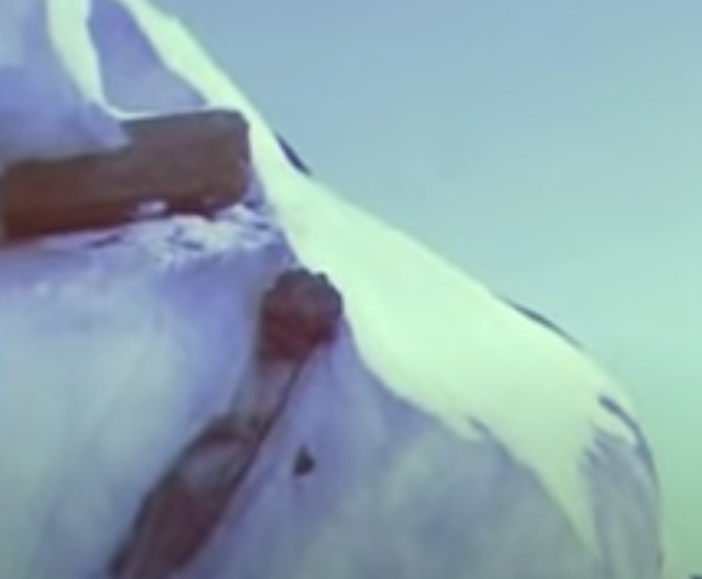 Addio ad Angelo Palego l’ingegnere che cercava l’Arca di Noé Addio ad Angelo Palego l’ingegnere che cercava l’Arca di Noé