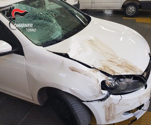 Notizie dal Piemonte. Fermato il pirata della strada che ha ucciso Franko Gjinaj: in carcere operaio di Giaveno con l'accusa di omicidio stradale