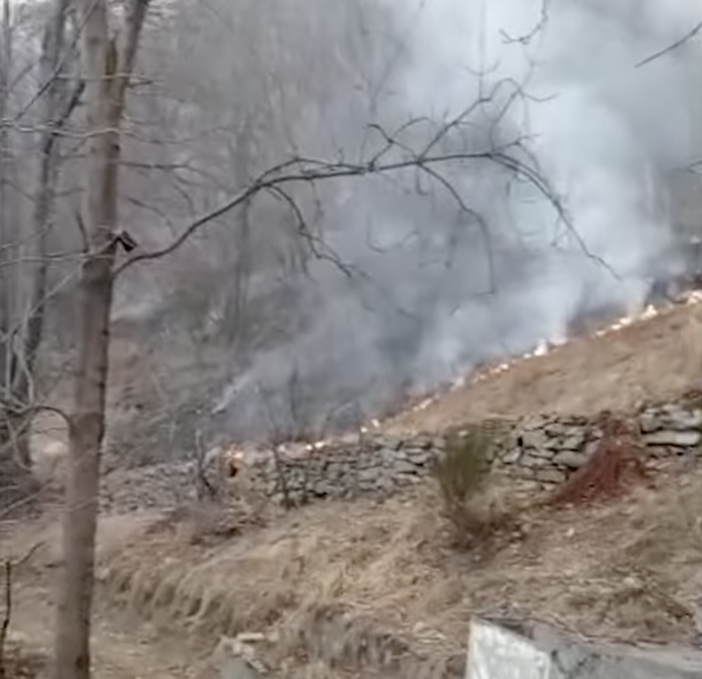 Coldiretti Piemonte: è sos siccità per i boschi Coldiretti Piemonte: è sos siccità per i boschi