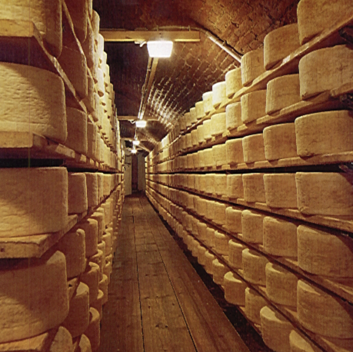 Produzione gorgonzola dop 2022: superati i 5 milioni di forme, ma il trend e’ negativo dopo dieci anni Produzione gorgonzola dop 2022: superati i 5 milioni di forme, ma il trend e’ negativo dopo dieci anni