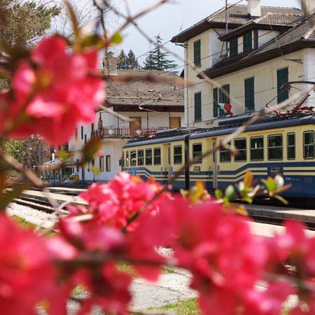 Un viaggio panoramico per un tuffo nel verde delle Alpi:due nuove offerte per salire a bordo della Ferrovia Vigezzina-Centovalli