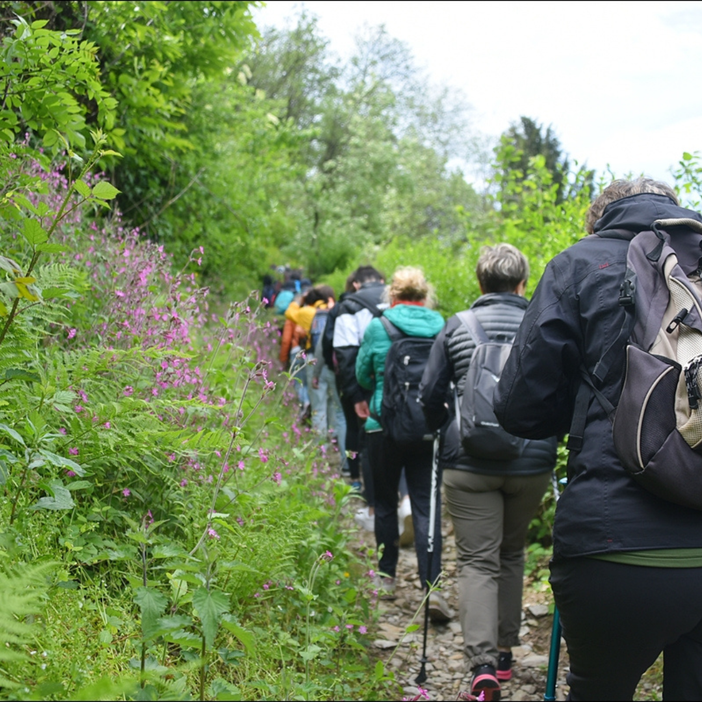 Una camminata alla scoperrta della natura del Lago d'Orta