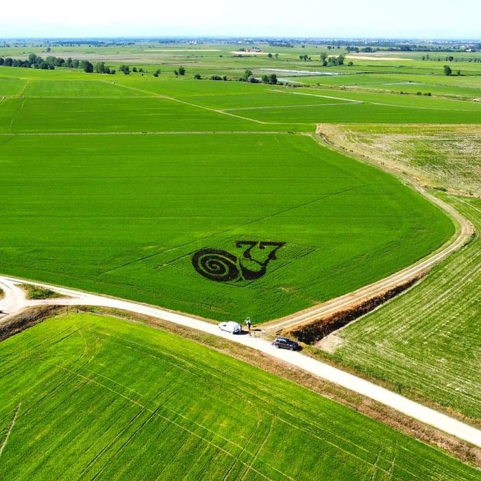 L’arte nelle risaie grazie agli agricoltori della Bassa Novarese