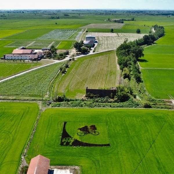 Tanboart rende omaggio a E.T. nella risaia di Borgolavezzaro