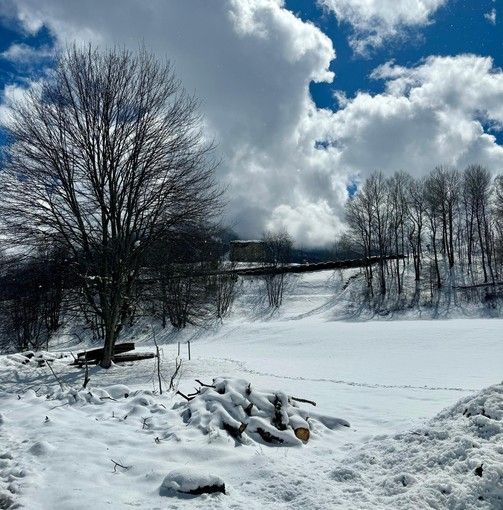 Il Piemonte sguazza nella neve (+62%) e si ritrova con tutti i fiumi pieni d'acqua