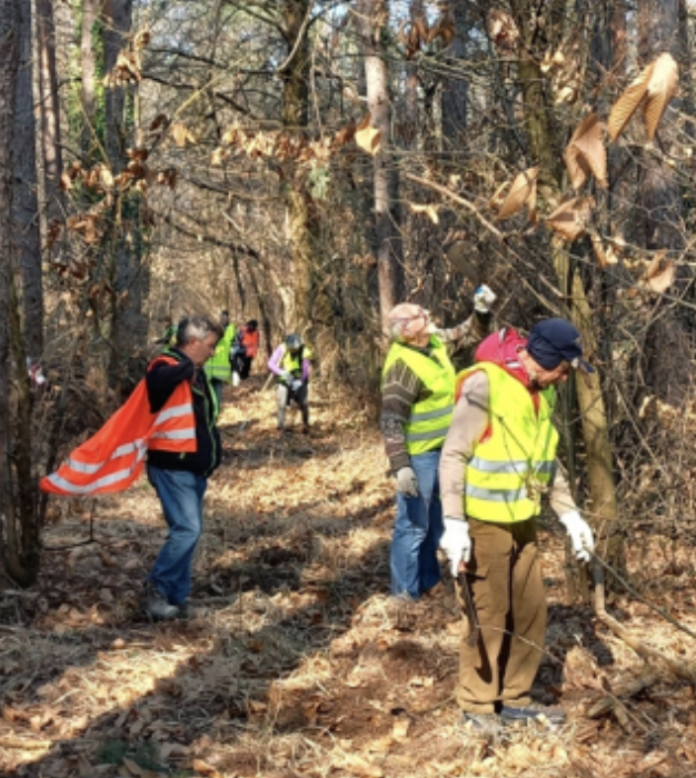 Puliamo i Boschi a Bellinzago Novarese: iniziativa volontaria per la salvaguardia dell'ambiente Puliamo i Boschi a Bellinzago Novarese: iniziativa volontaria per la salvaguardia dell'ambiente