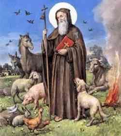 Il comune di Trecate distribuirà doni agli agricoltori Il comune di Trecate distribuirà doni agli agricoltori