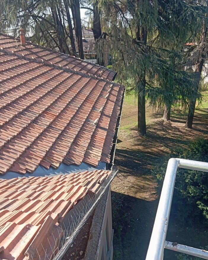 Novara, interventi di manutenzione al Liceo Coreutico di viale Ferrucci