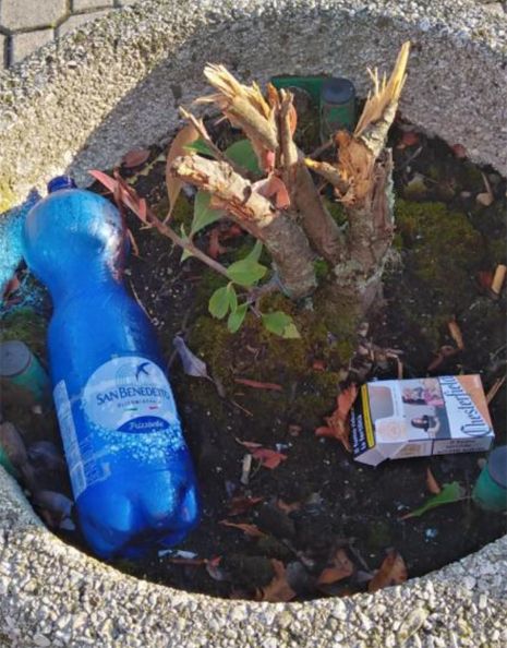 Vandali costantemente in azione a Garbagna, il Sindaco dice basta