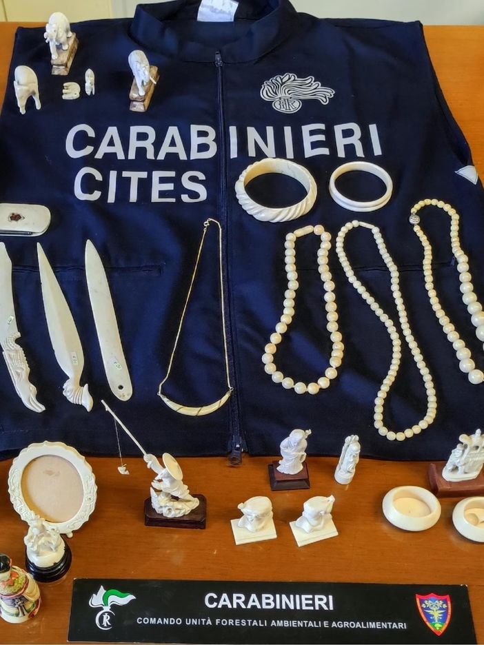 Borgomanero: i carabinieri sequestrano 29 oggetti in avorio, quattro denunce