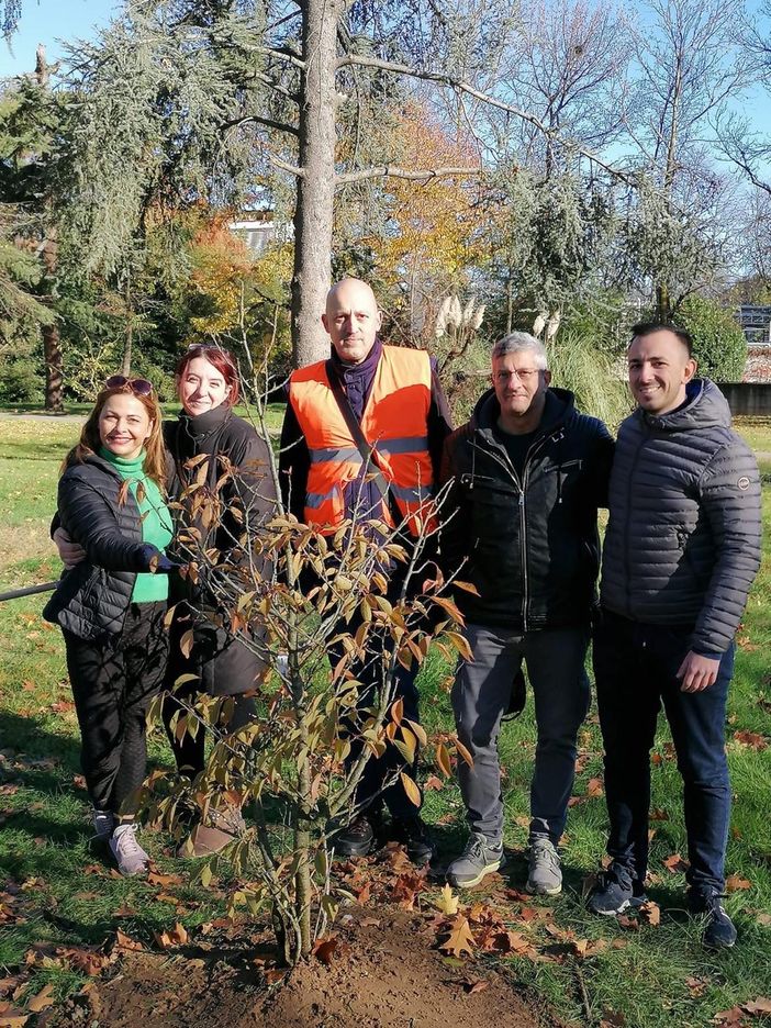 Tre nuove piante messe a dimora dall’associazione volontari per l’ambiente Tre nuove piante messe a dimora dall’associazione volontari per l’ambiente