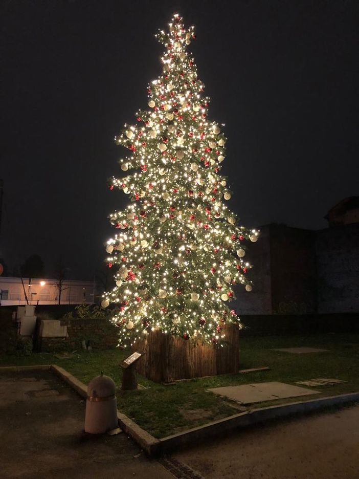 8 dicembre, gli appuntamenti natalizi di Trecate 8 dicembre, gli appuntamenti natalizi di Trecate