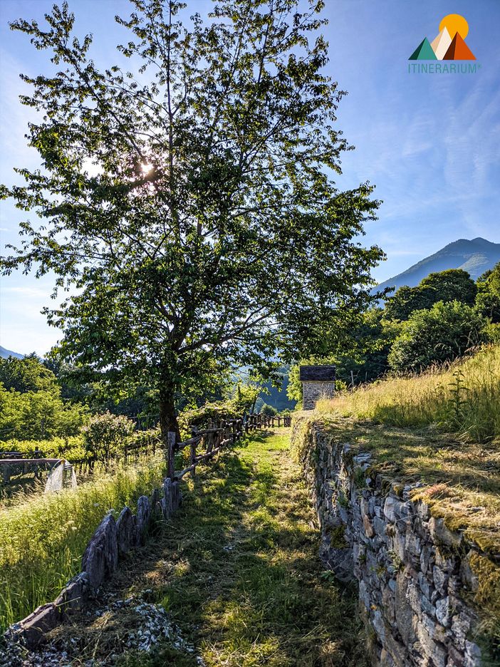 All’Alpe Briasca: l’alpeggio di Trontano All’Alpe Briasca: l’alpeggio di Trontano