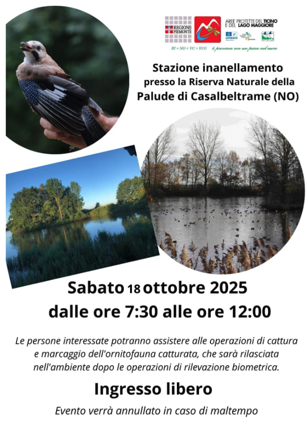 Alla scoperta dell’avifauna alla Palude di Casalbeltrame: giornata aperta alla stazione di inanellamento