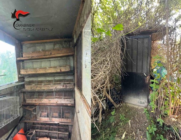 Romentino: scoperta una postazione per il bracconaggio in un terreno comunale