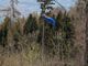 Cade con il parapendio e resta sospesa su un albero a 30 metri da terra