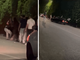Taormina, auto a tutta velocità su giovani fuori da una discoteca - Il video